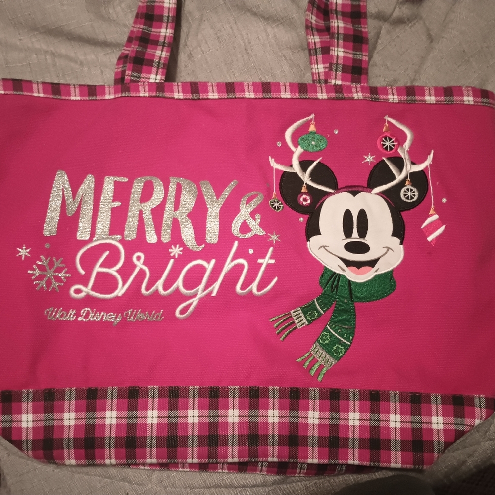 Disney Christmas bag